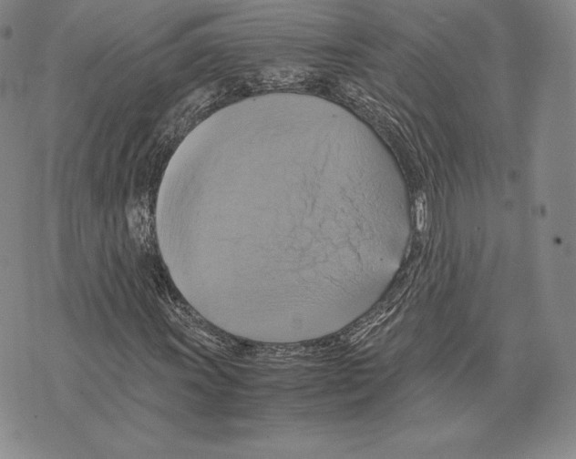 X0000075861011200610151630