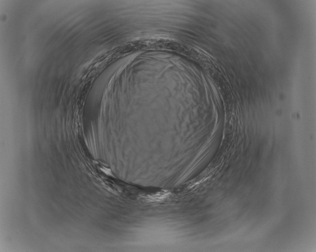 X0000075861014200610151630