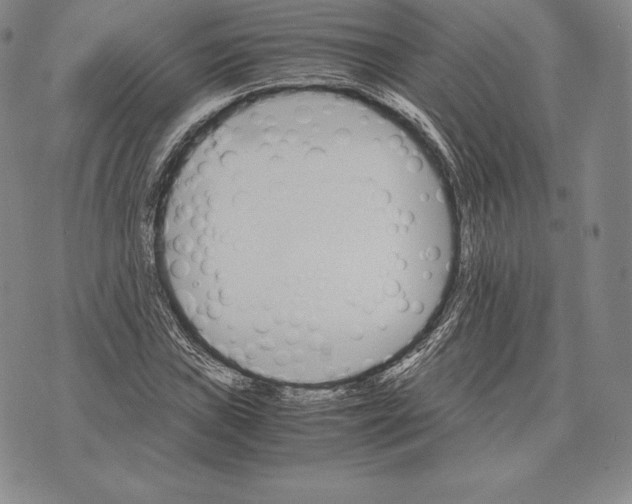 X0000075861019200610151630