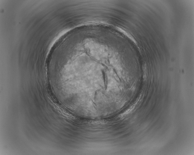 X0000075861021200610151630