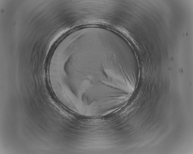 X0000075861024200610151630