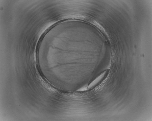 X0000075861028200610151630