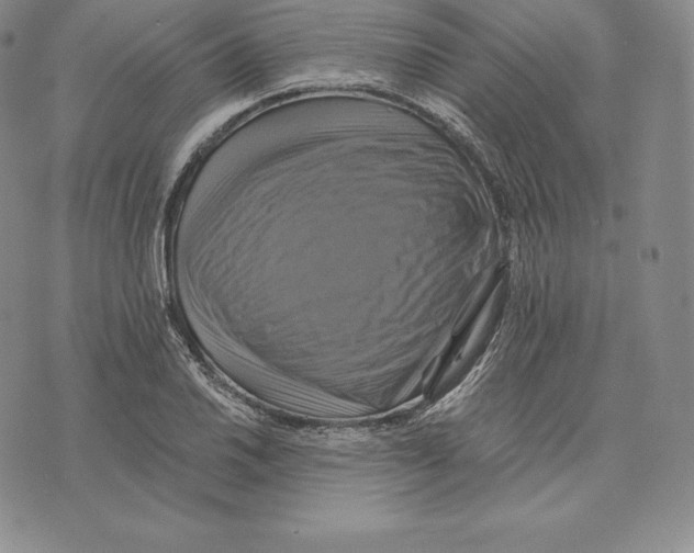 X0000075861030200610151630