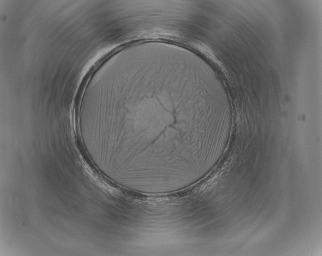 X0000075861032200610151630