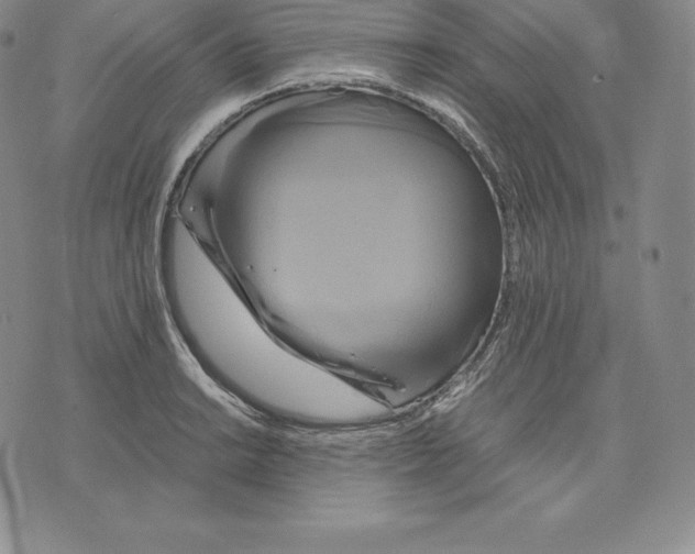 X0000075861038200610151630