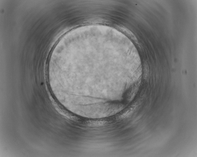 X0000075861039200610151630