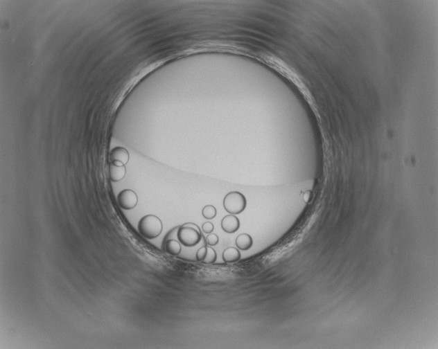 X0000075861041200610151630
