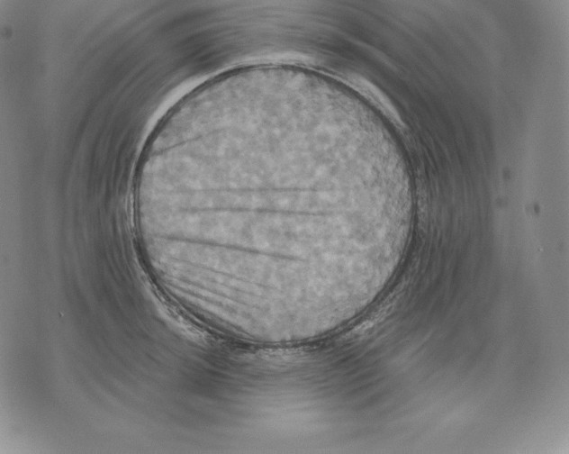 X0000075861044200610151630