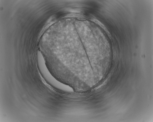 X0000075861049200610151630