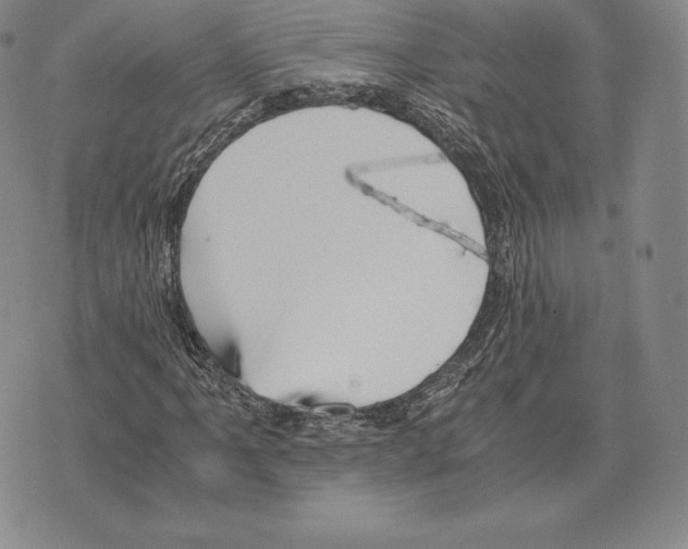 X0000075861061200610151629