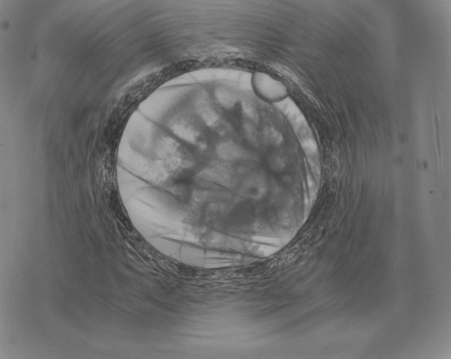 X0000075861063200610151629