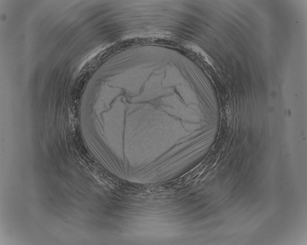 X0000075861064200610151629