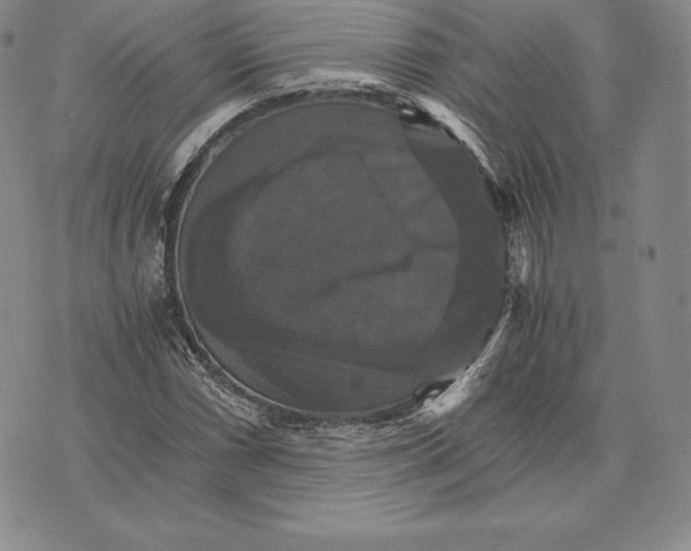 X0000075861066200610151629