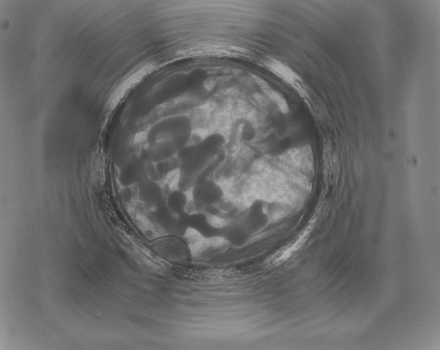 X0000075861067200610151629