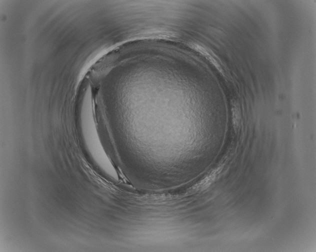 X0000075861069200610151629