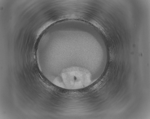 X0000075861070200610151629