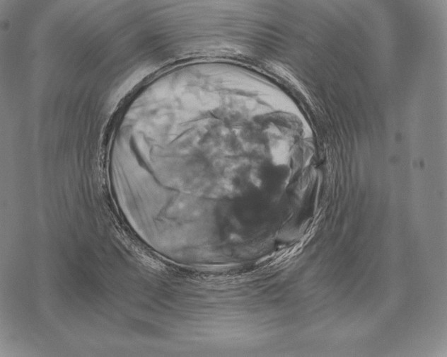 X0000075861071200610151629