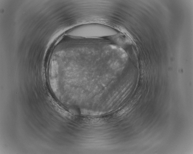 X0000075861072200610151629