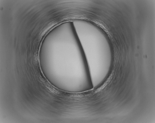 X0000075861073200610151629