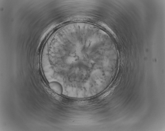 X0000075861075200610151629