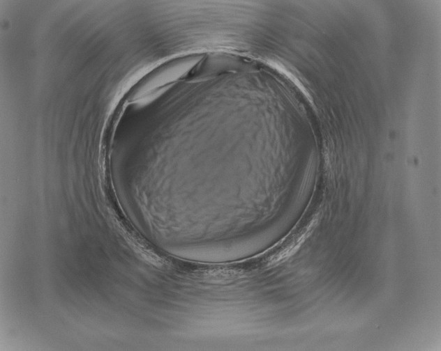 X0000075861077200610151629