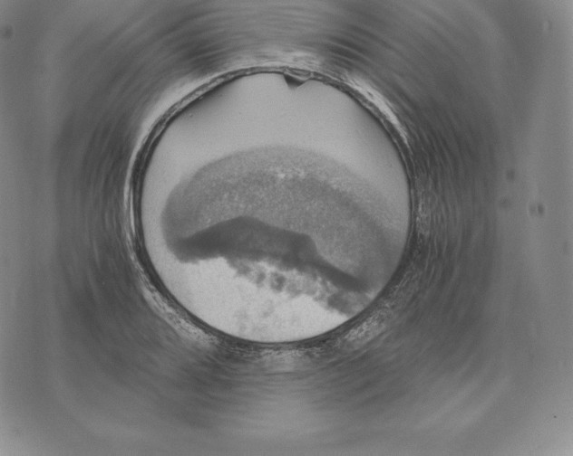 X0000075861080200610151629