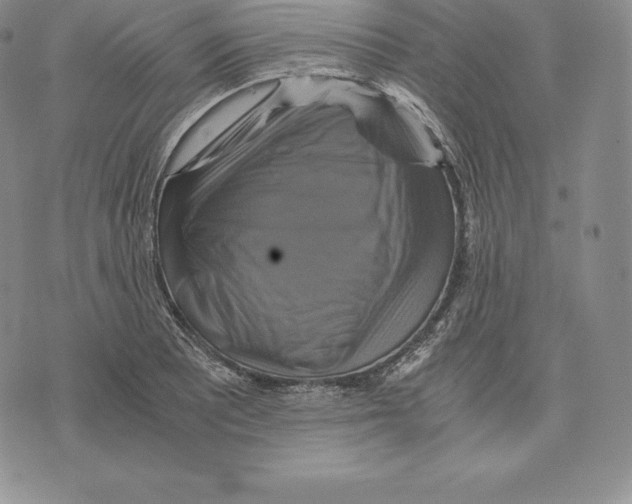 X0000075861081200610151629