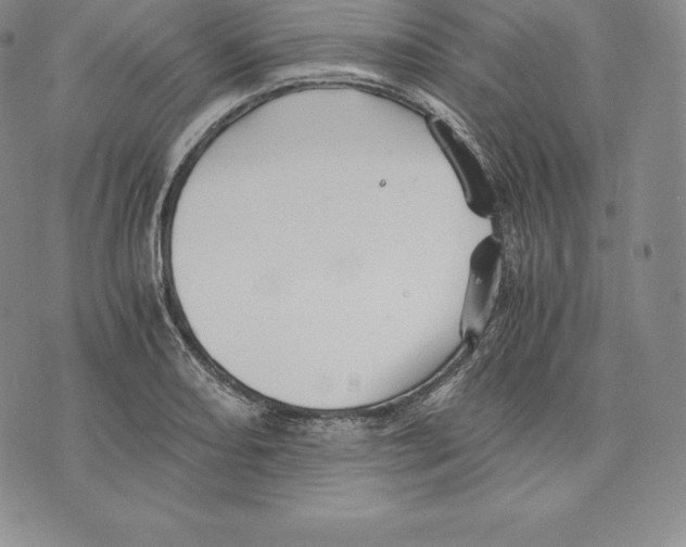 X0000075861082200610151629