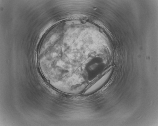 X0000075861083200610151629