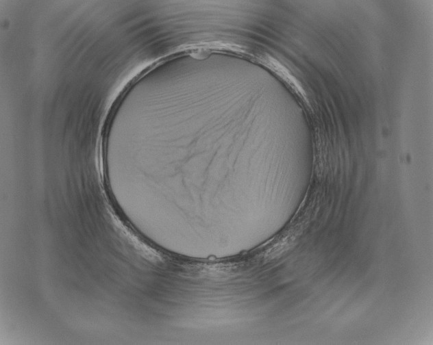 X0000075861084200610151629