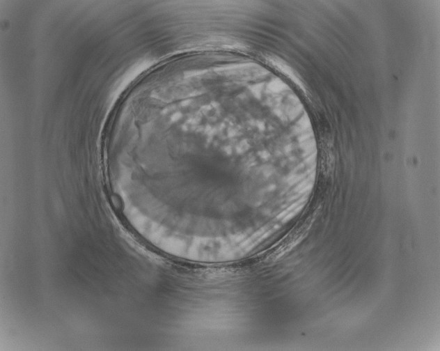 X0000075861087200610151629