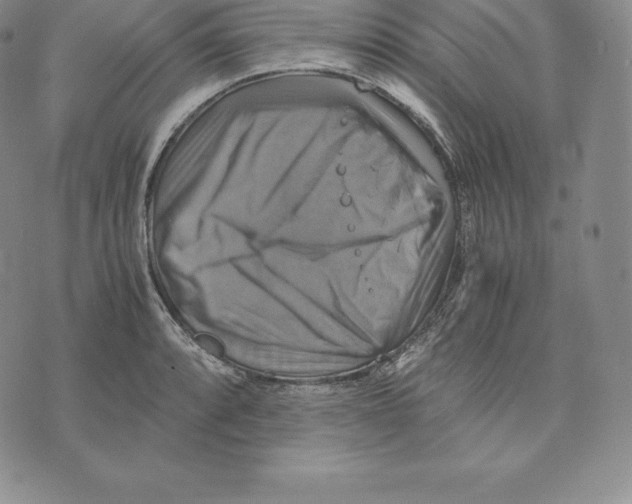 X0000075861088200610151629