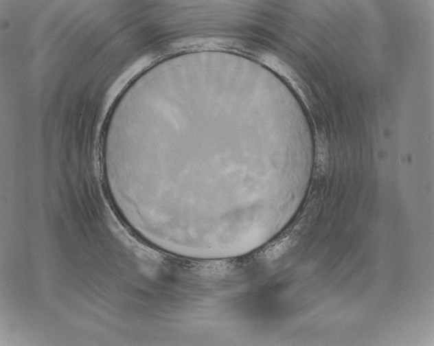 X0000075861090200610151629