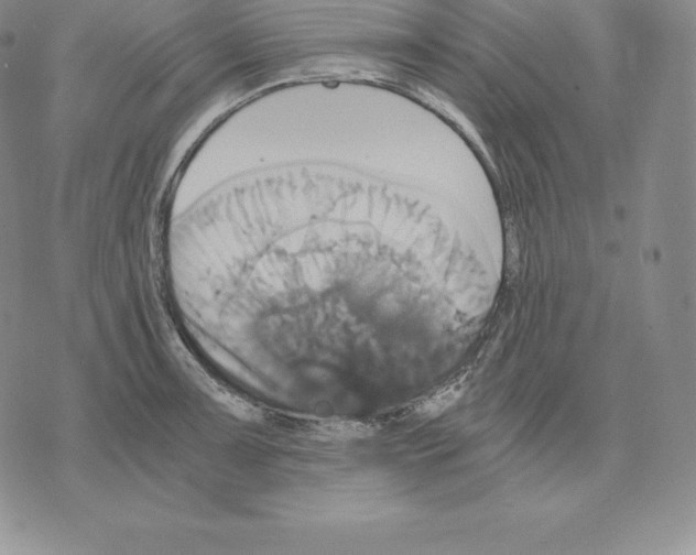 X0000075861091200610151629