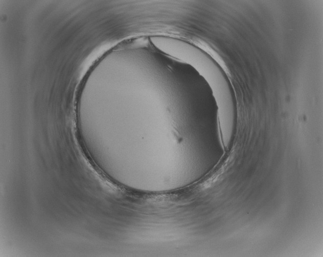 X0000075861093200610151629