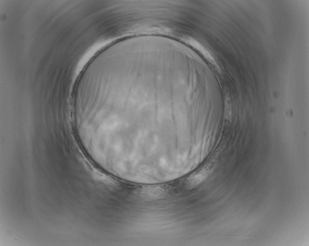 X0000075861094200610151629