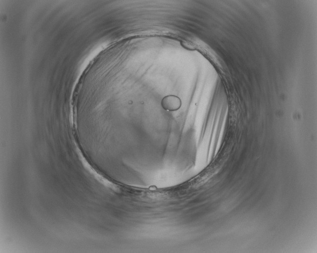 X0000075861095200610151629
