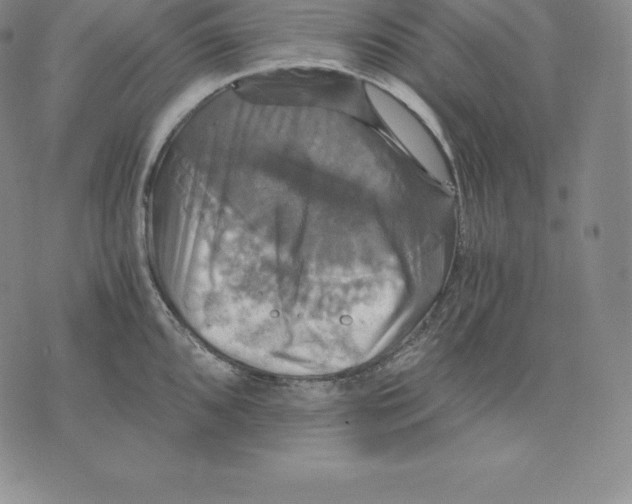 X0000075861096200610151629