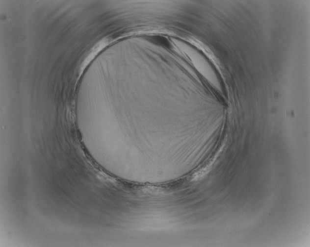 X0000075861097200610151629