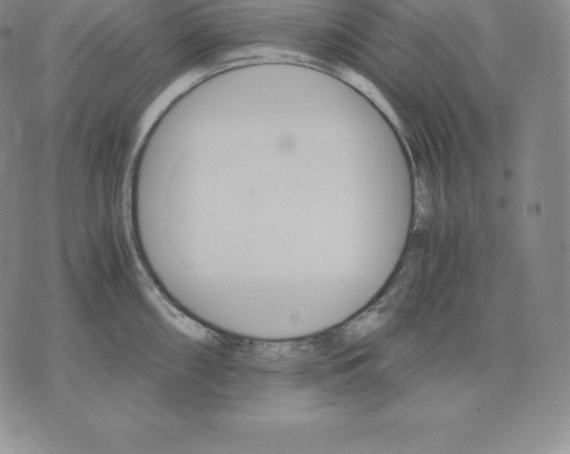 X0000075861098200610151629