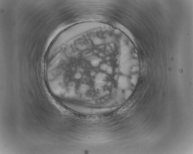 X0000075861099200610151629