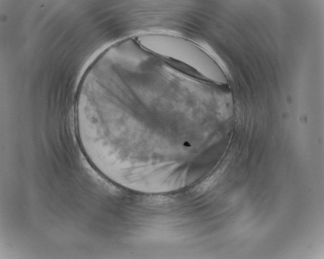 X0000075861100200610151629