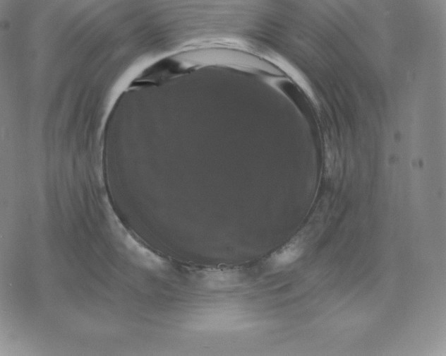 X0000075861102200610151629