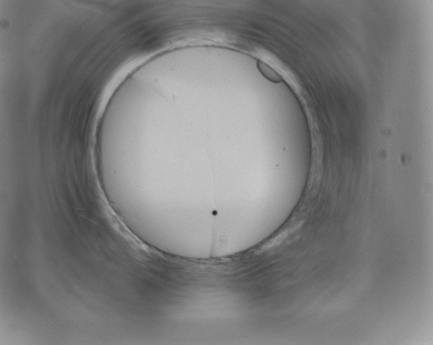 X0000075861104200610151629