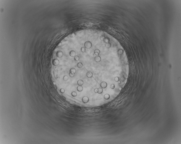 X0000075861105200610151628