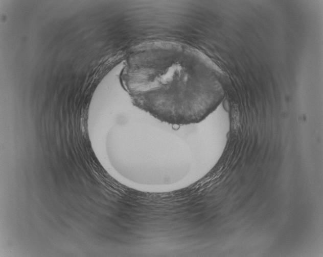 X0000075861106200610151628