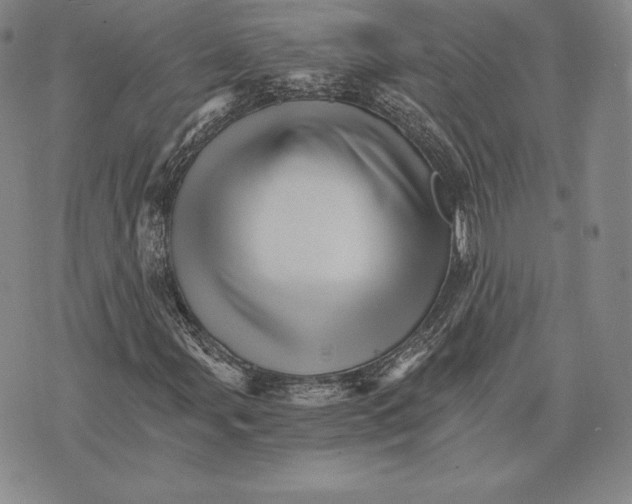 X0000075861107200610151628