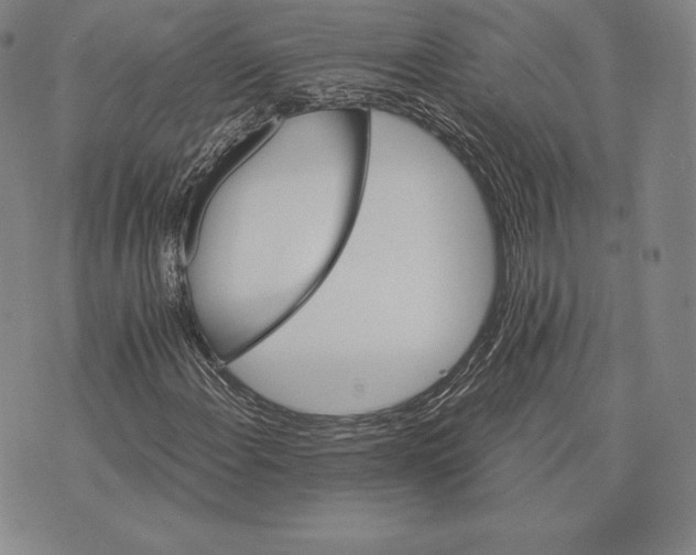 X0000075861108200610151628