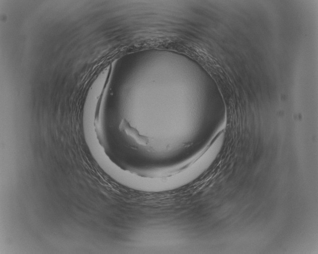 X0000075861109200610151628