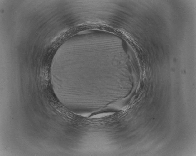 X0000075861110200610151628